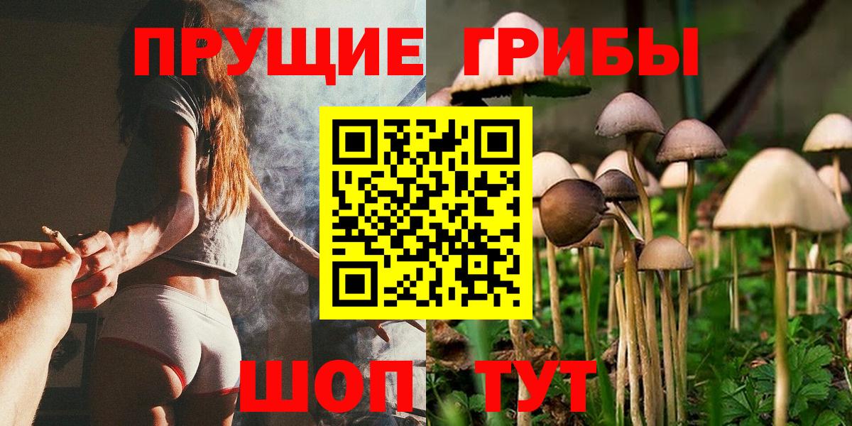 Псилоцибиновые грибы Magic Shrooms  Галлюциногенные грибы мицелий  Вход с VPN  Серов 
